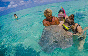 亿邦智库联合重磅发布《2023数字化采购发展报告》